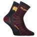 2PACK Dětské ponožky E plus M Harry Potter vícebarevné (GRYFFINDOR-A)