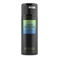 DAVID BECKHAM True Instinct deodorant sprej pro muže 150 ml