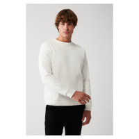 Avva Men's Ecru Crew Neck Cotton Jacquard Regular Fit Sweatshirt