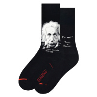 MuseARTa Science & History - Albert Einstein
