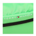 Ledvinka Tommy Hilfiger