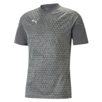 Puma TEAMCUP TRAINING JERSEY TEE Pánský dres, šedá, velikost