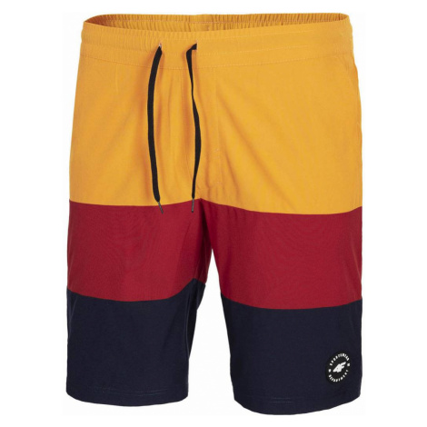 4F MEN'S SHORTS SKMT004 Vícebarevné