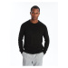 LC Waikiki Crew Neck Long Sleeve Men's Knitwear Sweater