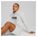 PUMA - PÁNSKÁ MIKINA BIG LOGO HOODIE TR