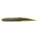 Savage gear gumová nástraha ned dragon tail slug green pumpkin 5 ks - 8,8 cm 4 g