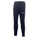Dětské kalhoty Academy Pro Youth Jr DH9325 451 - Nike