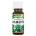 SALOOS Eukalyptus - Čína 10 ml