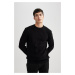 DEFACTO Standard Fit Crew Neck Knitwear Sweater