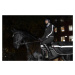 Bunda Luminous Black Equestrian Stockholm, grey