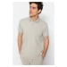 Trendyol Stone Regular/Normal Cut Short Sleeve Label Appliqued Polo Neck T-shirt