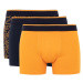 DEFACTO Regular Fit 3-Pack Boxer