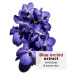 Clarins Blue Orchid Treatment Oil antioxidační pleťový olej na den a noc s hydratačním účinkem 3