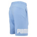 Puma PUMA POWER SHORTS 9 Pánské šortky, světle modrá, velikost