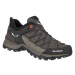 Salewa Mtn Trainer Lite Gtx Hnědá