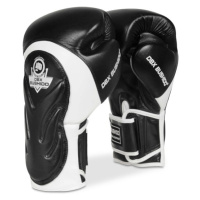 Boxerské rukavice DBX BUSHIDO BB5 Name: BB5 14 oz boxerské rukavice DBX BUSHIDO, Size:
