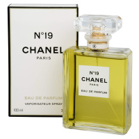 Chanel No. 19 - EDP 100 ml