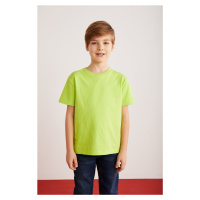 GRIMELANGE Fae Boy's 100% Cotton Short Sleeve Crew Neck Pistachio Green / Black / White T-shirt