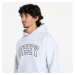 Mikina OBEY Collegiate Extra Heavy Hoodie II Ash Grey