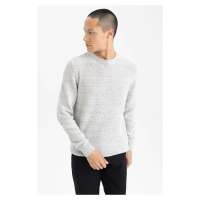 DEFACTO Standard Fit Crew Neck Knitwear Sweater