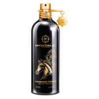 Montale Arabians Tonka - EDP 100 ml