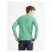 CELIO BEPIC Pánský svetr, zelená, velikost
