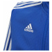 Dětské fotbalové tričko Tiro 19 Training DT5274 - Adidas