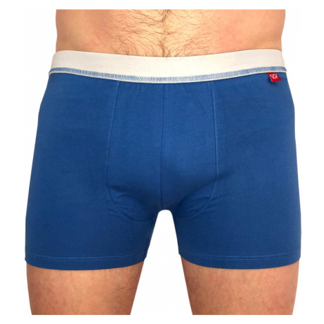 Pánské boxerky Andrie modré (PS 5116 C)