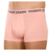 3PACK pánské boxerky Tommy Hilfiger vícebarevné (UM0UM02850 0TT)