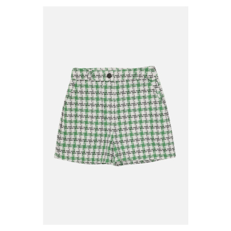 Trendyol Mint Straight Shorts & Bermuda