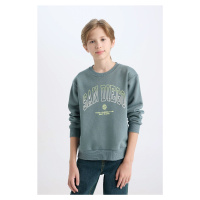 DEFACTO Boy Regular Fit Crew Neck Printed Thick Sweatshirt