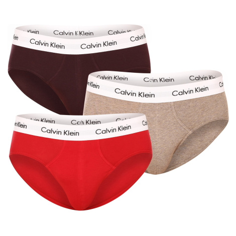 3PACK pánské slipy Calvin Klein vícebarevné (U2661G-CAK)