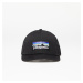 Patagonia P­6 Logo Trucker Hat Black