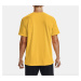 Under armour curry embroidered tee s