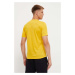 Sportovní triko Salewa Pure Eagle Frame Dry žlutá barva, s potiskem, 00-0000028448