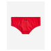 Everyday Brief Plavky Quiksilver