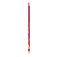 L’Oréal Paris Color Riche konturovací tužka na rty odstín 302 Bois De Rose 1.2 g