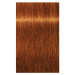 Schwarzkopf Professional IGORA Royal Absolutes barva na vlasy odstín 7-70 Medium Blonde Copper N