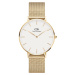 Daniel Wellington Petite Evergold 36 DW00100346