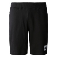 The North Face M Summer Logo Shorts