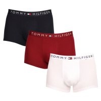 3PACK pánské boxerky Tommy Hilfiger vícebarevné (UM0UM03181 0SZ)