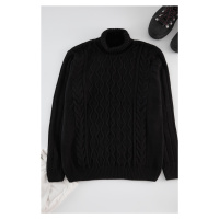 Trendyol Black Regular Turtleneck Textured Knitwear Sweater