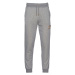 TEPLÁKY GANT ARCHIVE SHIELD SWEAT PANTS šedá