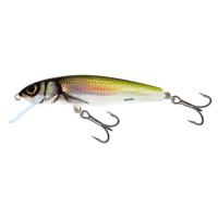 Salmo wobler minnow floating holo bleak-5 cm 3 g