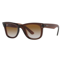 Ray-Ban Wayfarer Reverse RBR0502S 6709CB - L (53)