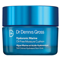 DR DENNIS GROSS - Hyaluronic Marine - Hydratační gelový krém