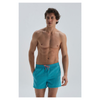 Dagi Turquoise - Salmon Micro Short Fish Patterned Magic Beach Shorts