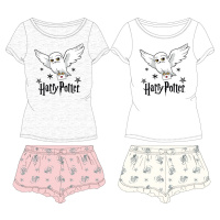 Harry Poter - licence Dívčí pyžamo - Harry Potter 5204410, šedý melír / světle růžová Barva: Šed