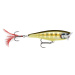 Rapala Wobler Skitter Pop Top Water Fresh STGS - 7cm 7g