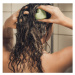 Tuhý šampon s kopřivou a meduňkou - pro mastné vlasy - CESTOVNÍ | Candy Soap